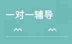 辅导工作总结精选5篇