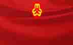 2024村妇联述职报告8篇