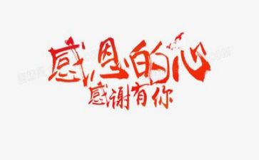 感恩活动小活动总结优质6篇