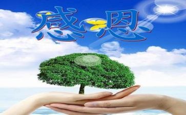 关于感恩的作文700字通用5篇