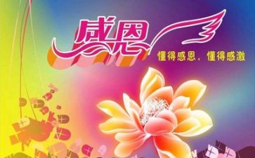 感恩教师活动总结优质7篇