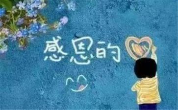 感恩教师活动总结8篇