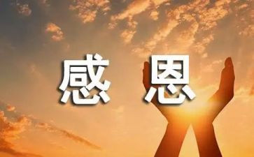 感恩总结活动总结7篇