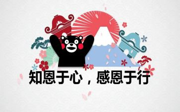 感恩活动总结6篇