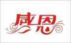 感恩主题活动总结优秀7篇