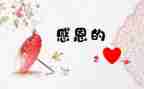 感激作文500字5篇