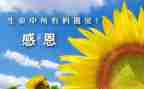 感谢母亲的作文推荐6篇