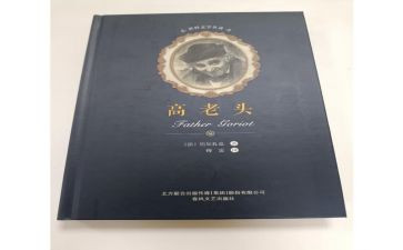 《高老头》心得体会5篇