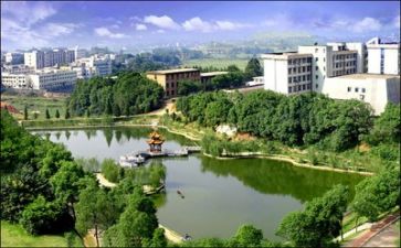 高校教师年终个人总结范文5篇