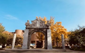 到高校实习心得体会5篇