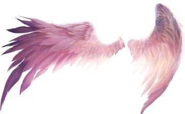 让梦想插上翅膀作文5篇