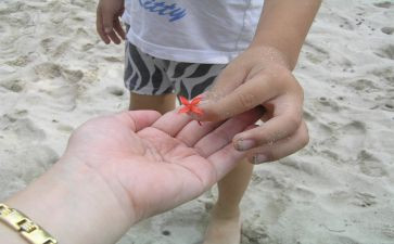 《给予》600字作文8篇