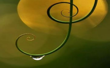 歌声作文600字参考6篇