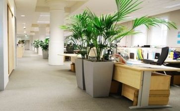 3.8公司活动方案推荐5篇
