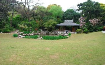 写公园的作文优质7篇