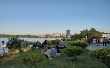 公园的作文6篇