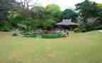 写公园的作文优质7篇