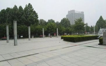 在广场的蟋蟀的读后感精选7篇