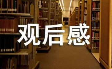 观后感心得体会范文最新6篇