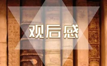 猪的观后感优秀7篇