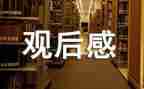 观后感心得体会范文最新6篇