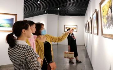 观展调研报告范文最新7篇