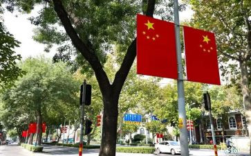 升国旗向国旗敬礼活动总结5篇