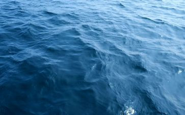 海归活动总结5篇