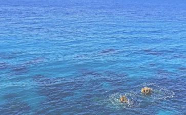 海归活动总结参考8篇