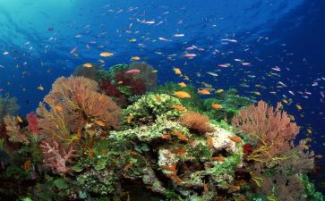 读后感海底两万里100字6篇