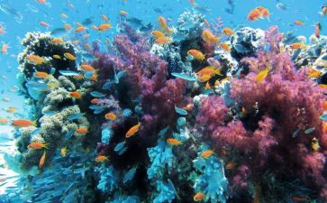 海底捞读后感模板5篇