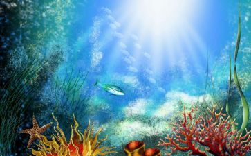 海底捞读后感参考8篇