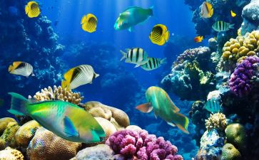 海底捞读后感8篇