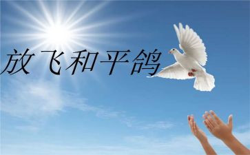 战争和平心得体会5篇