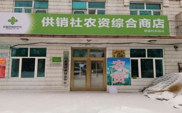 合作社工作总结8篇