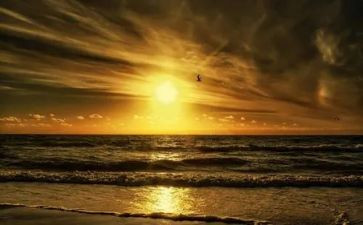 怀念童年600字作文通用7篇