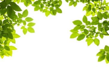 微环保活动总结优质6篇