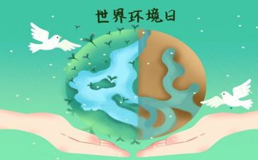 生态环境日活动方案8篇