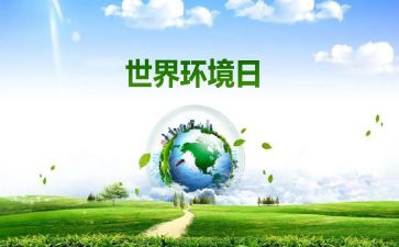 开展环境日宣传活动总结7篇