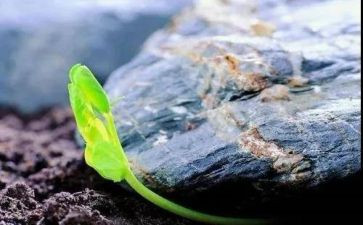唤醒护理的心得体会8篇