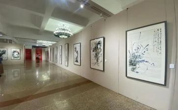 画展参观心得6篇