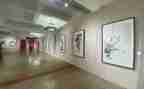 画展参观心得6篇