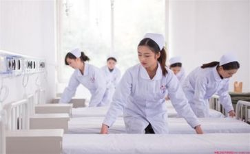学护理的心得体会800模板8篇