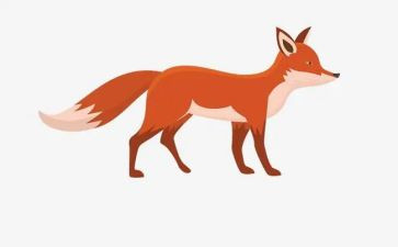 狐狸教学反思8篇