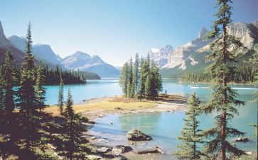 雷锋活在我心中作文5篇