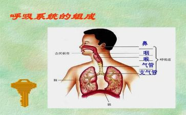 呼吸护士的自我鉴定7篇