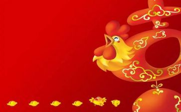 我的鸡作文400字5篇
