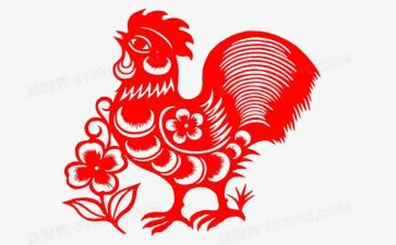 我的鸡作文400字推荐5篇