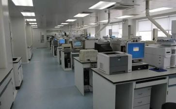检测工作总结最新5篇