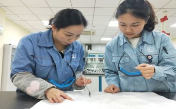 鉴定师申请书模板5篇